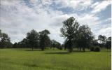 Thumbnail Photo