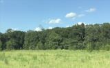 Thumbnail Photo