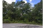Thumbnail Photo