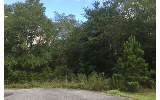 Thumbnail Photo